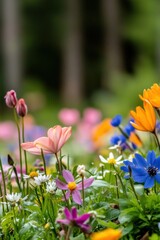 Fototapeta premium Beautiful colorful wild flowers in deep foggy forest with sun light in Spring.