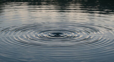 Fototapeta premium A perfectly symmetrical ripple effect forming on a still water surface