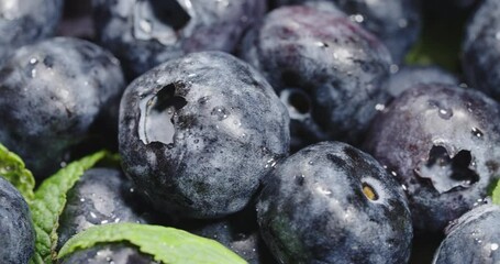 Delicious Fresh Blueberries with Refreshing Mint Leaves A Healthy Berries CloseUp View - Powered by Adobe