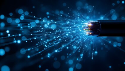 Fiber optic network cables are composed of thin strands of glass or plastic that transmit data using light signals, allowing for fast and reliable communication over long distances.