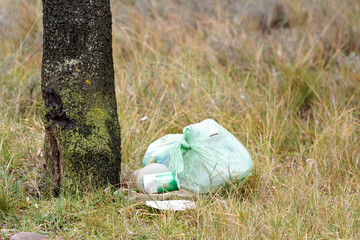Rubbish bag next to the tree