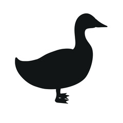 Vector flat hand drawn duck silhouette isolated on white background