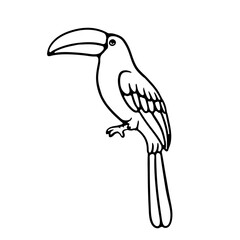 illustration hand draw single bird on white background good for coloring book
