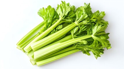 fresh celery isolated on white background