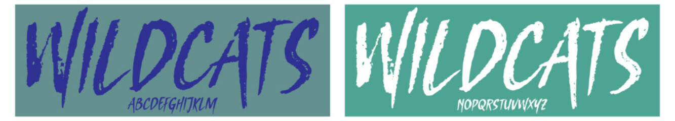 wildcats.wicked brush.eps