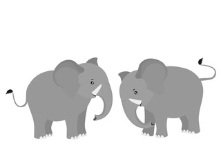 little elephant on white background.