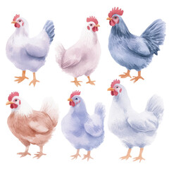 Fototapeta premium Diverse chicken breeds in gentle watercolor standing proudly side by side
