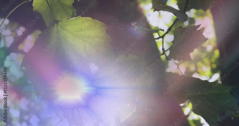 Aufkleber sunlight filtering through green leaves creating lens flare in nature setting