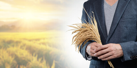 Businessman Holding Rice Plant with Agricultural Landscape Background