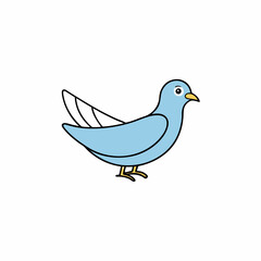 vector illustration of a bird  dove