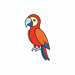 macaw on white background