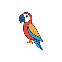 macaw on white background