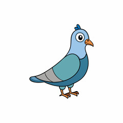 pigeon bird isolated on white background