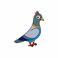 pigeon bird isolated on white background