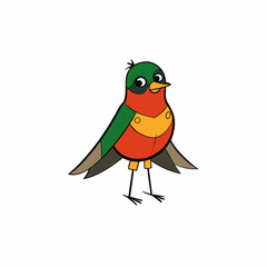 robin bird on white background