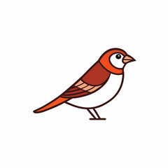 sparrow bird on a branch