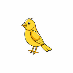 yellow canary bird on a branch