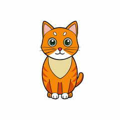 marmalade cat on white