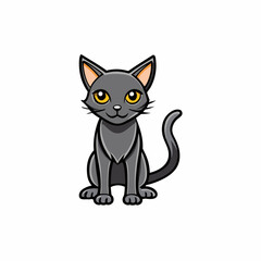 shadow cat on white