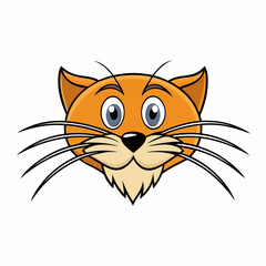 whiskers cat on white