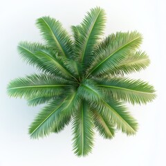 Aerial view of vibrant green palm leaves showcasing intricate details and structures, perfect for tropical and nature-themed designs and backgrounds