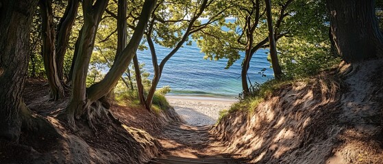 Serpentine Stairway Leading Through Lush Trees to a Tropical Beachfront Paradise