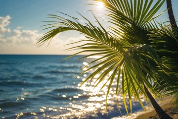 Fototapeta premium Dazzling Light Dance on Palm Leaves by Sparkling Shoreline