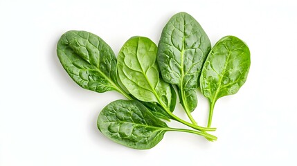 Obraz premium Spinach on a white background