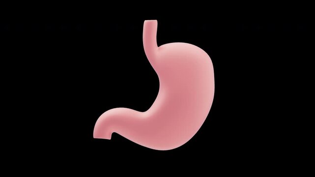 3D Animation of Nutrient Absorption in the Stomach | Alpha Channel