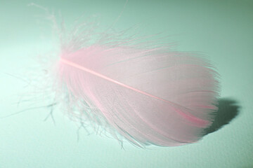 Fototapeta premium Fluffy pink feather on light turquoise background, closeup