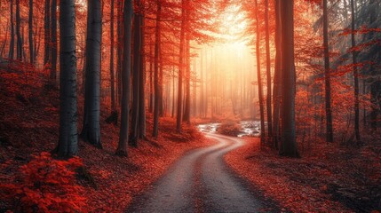 Obraz premium Enchanting Autumn Forest Path with Red Leaves and Golden Sunlight