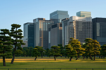 Skyscrapers of the Marunouchi business district in Chiyoda Ward against the background of the Outer gardens of the Imperial Palace on a sunny day, Tokyo, Japan