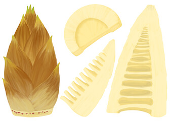 皮付きの筍と皮を剥いてカットした筍のイラスト素材セット、旬の野菜、春の味覚