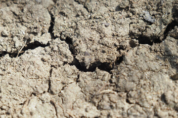 Soil with cracks reveals drought conditions in agricultural land