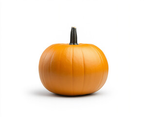 Obraz premium pumpkin isolated on a white background, studio shot.