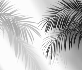 Obraz premium Elegant and Minimalist Shadow of Palm Leaves on Light Background Creating a Serene and Calm Atmosphere for Nature Inspired Design Themes