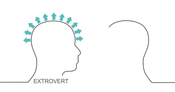 Introvert and extrovert comparison. Human heads with arrow. Different character social individuality with feelings and emotions expression or holding them inside