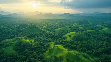 Obraz premium aerial view of rolling green hills and dense forest under a soft, golden sunset, creating a tranquil and idyllic landscape.