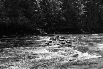 black and white Oyster River Hiking area beautiful mountain nature with tall trees and blue sky...