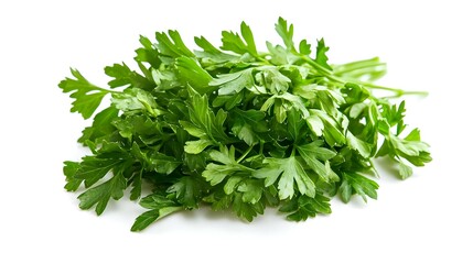 Obraz premium parsley isolated on a white background