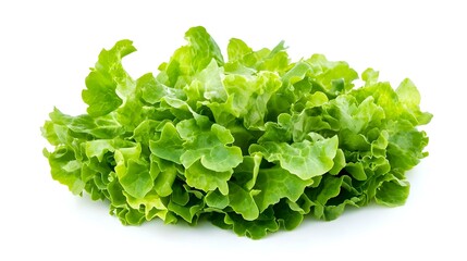 Butterhead salad isolated on white background
