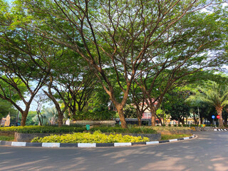 SERANG, INDONESIA : March, 12th, 2025
A green and beautiful roundabout in Banten Province, decorated with shady trees. The bright blue sky adds to the cool atmosphere, creating harmony between nature 