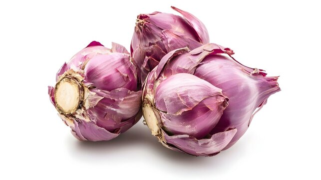 Studio shot of a camut spike on white