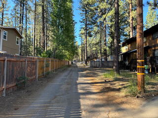 old street in a rural mountain town, wood houses and log cabins with pine trees all around - Big Bear Lake, California, USA