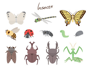 虫のセット_ナチュラルフラットデザイン