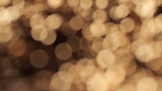 Blurry image of circles in various sizes and colors. The image has a dreamy, ethereal quality to it, as if it were a painting or a photograph that has been slightly blurred or out of focus