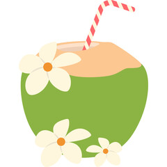 Coconut Water Illustration