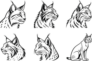 Lynx Bundle Premium Silhouette Collection for Stunning Designs.