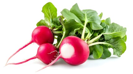 radish on white background