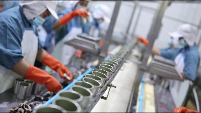 Food factory line workers fish packing in tin can process in canned fish factory